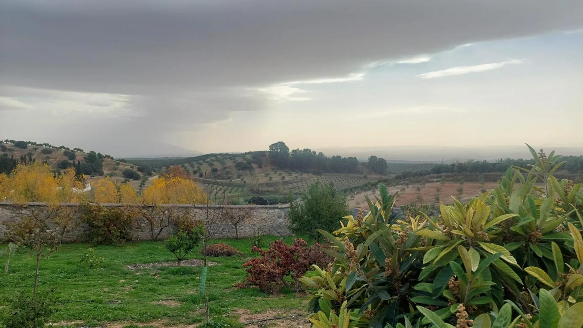 Casa Del Olivo Lucio En Alomartes Villa 0*,