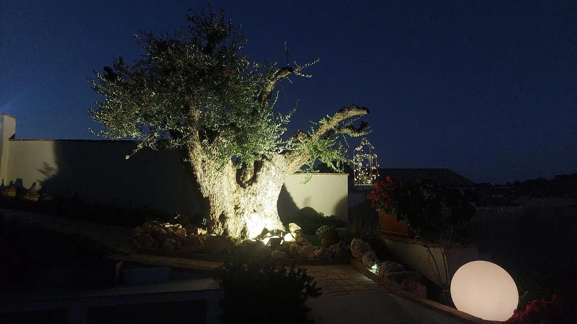 Casa Del Olivo Lucio En Alomartes Villa