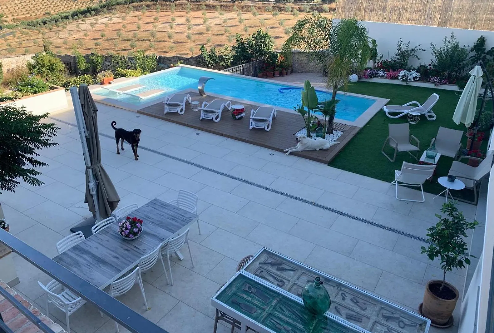 Casa Del Olivo Lucio En Alomartes Villa Spain